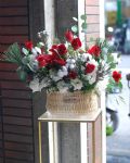 喜慶盆花Celebrating Flower